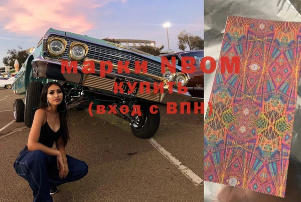 тгк Новодвинск