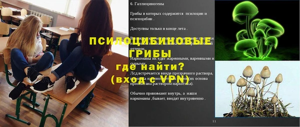 спайс Елизово